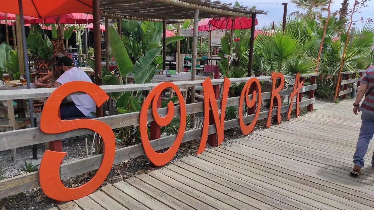 شقة Casa Cachita 2-Confortable Estudio A Pie De Playa إِستيبونا